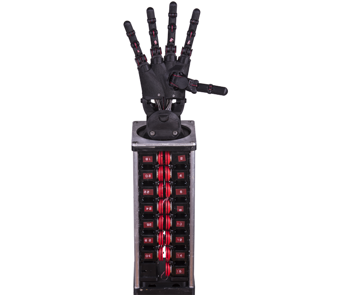 Dexterous Hand  Dexterous 5-Finger Hand